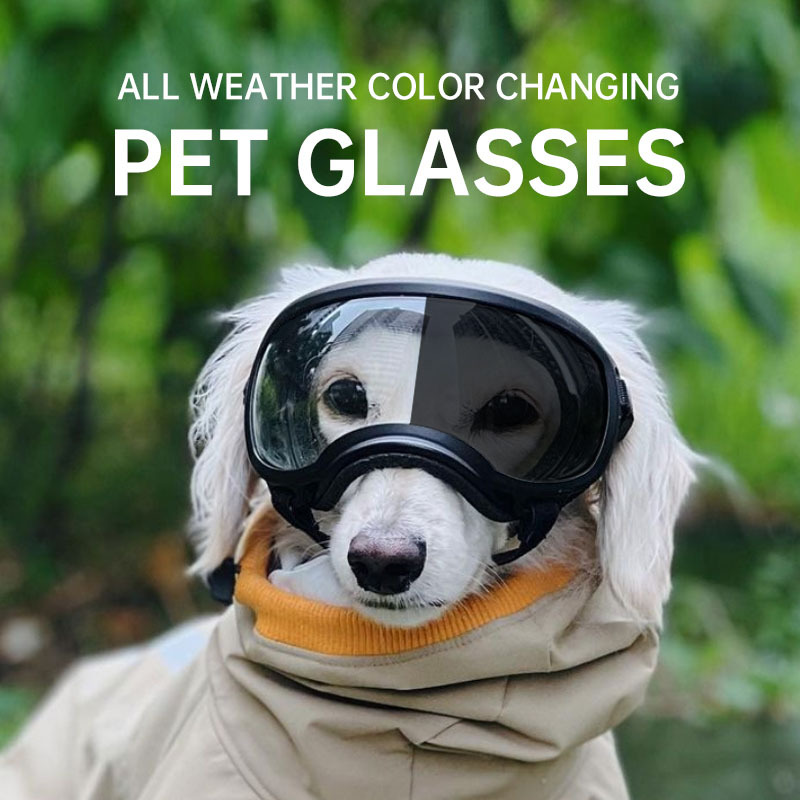 Snow Goggle Uv - 2026년형 색상 변화 애완동물 안경, 강아지